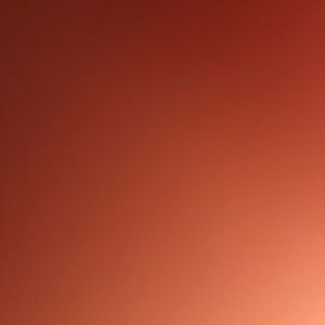 Meet your Posher, Brinda